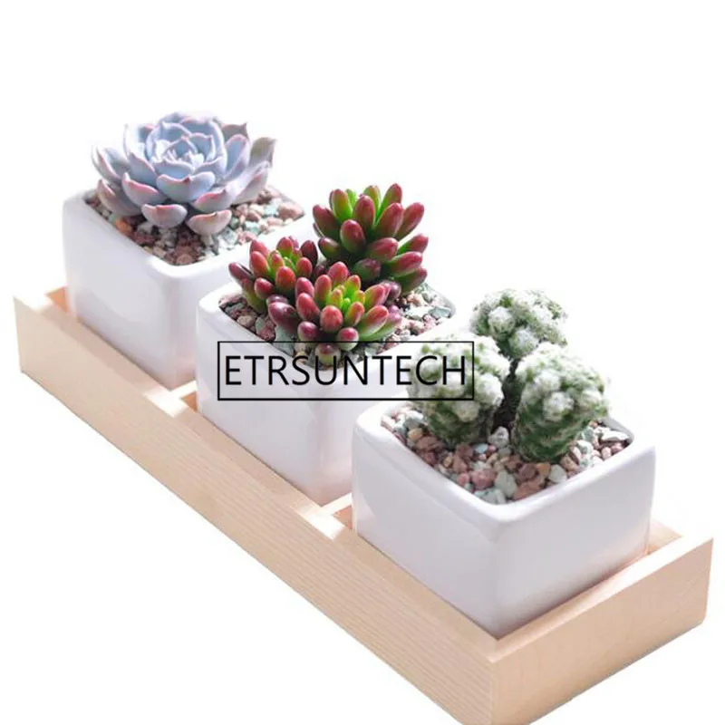 50pcs 3 Grids Flower Pot Box Tray Wooden Succulent Plant Fleshy Flowerpot Containers Home Decor