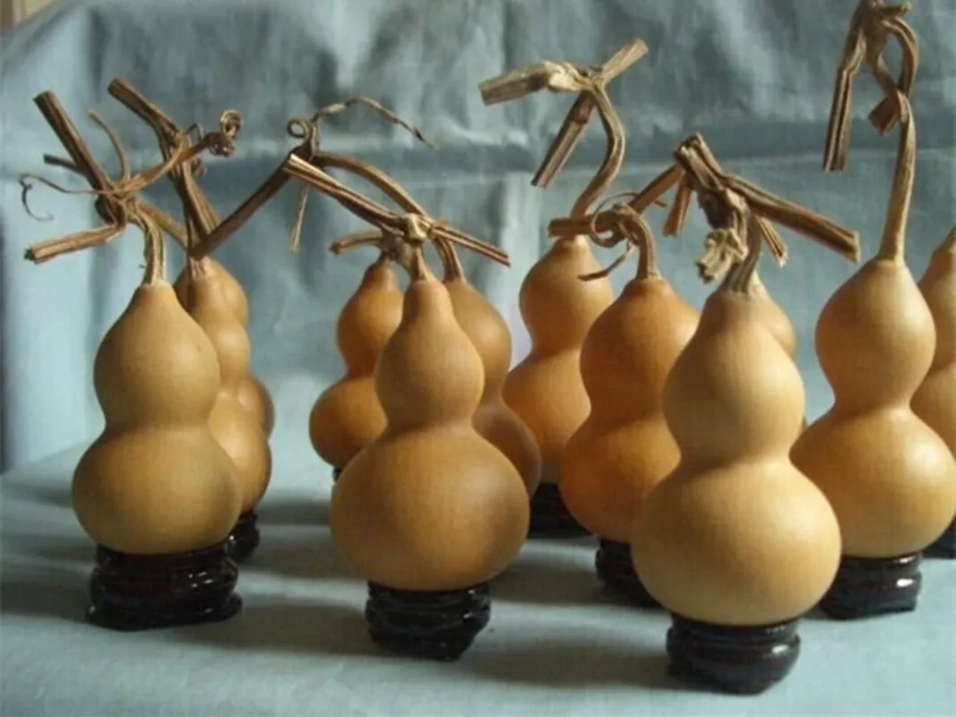 Mini Natural Dry Gourds, Small Calabash Gourd, Fengshui, Bagua, Hulu, Dried Lagenaria, Siceraria