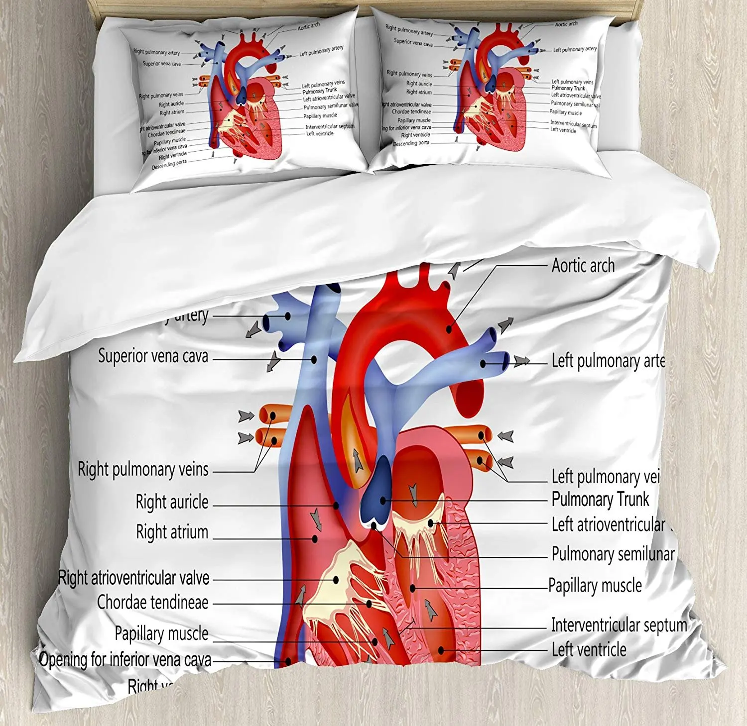 Educational Bedding Set Medical Structure of the Hearts Human Body Anatomy Organ Veins Cardiology Duvet Cover Pillowcase