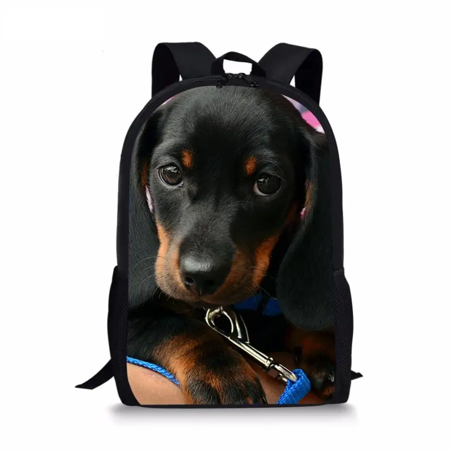 Bonito em miniatura dachshund impresso saco de escola para tennager meninos meninas estudantes causal bookpack personalizado transporte da gota