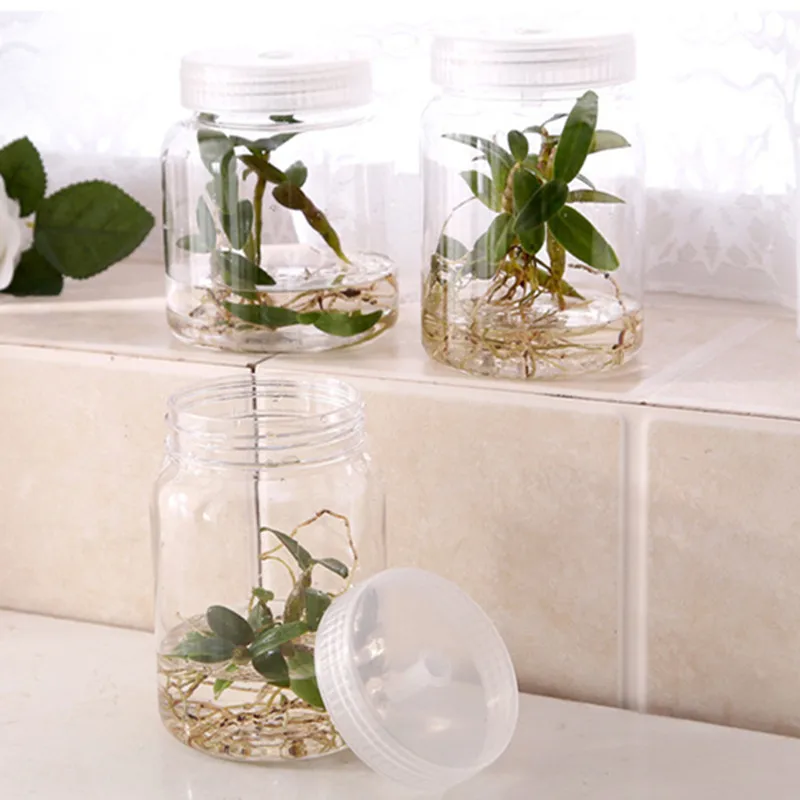 1pc 350mL 500mL Plants Plastic Jars For Bottle Seedling Tissue Culture Seedling High Temperature Resistance No Deformation