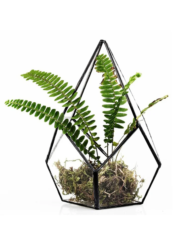 Terrarium géométrique en verre diamant à quatre surfaces, boîte de table, plante succulente, jardinière, terrariums pour plantes/succulentes/fleurs