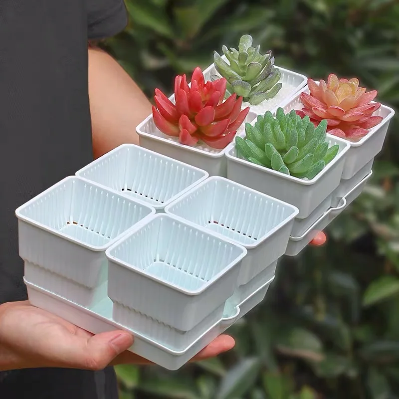 Meshpot 6 cm/7 cm Sukkulenten Topf Kunststoff Blumentopf Kaktus Pflanzer Wurzel Steuerung Gute Luft System Garten liefert Hause Dezember – Detail 1