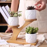 3pcs/set Succulent Plant Flower Pot Holder Ceramic Owl Pattern Desktop Pot With Bamboo Shelf Rack Pot Planter Set Home Decor