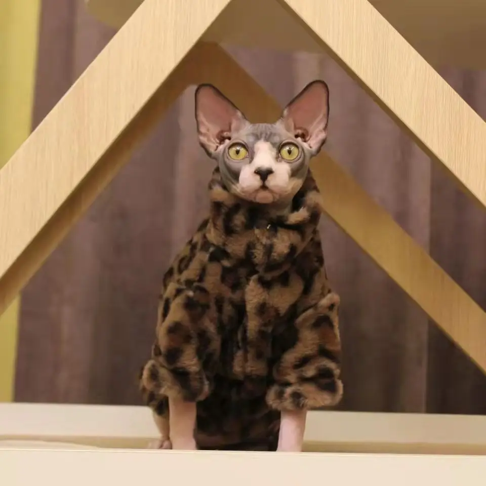 

DUOMASUMI-Sphynx Cat Clothes, Soft Cat Jacket, Comfy, Dirt-resistant, Velvet, Thickened, Hairless, Fashion, Winter