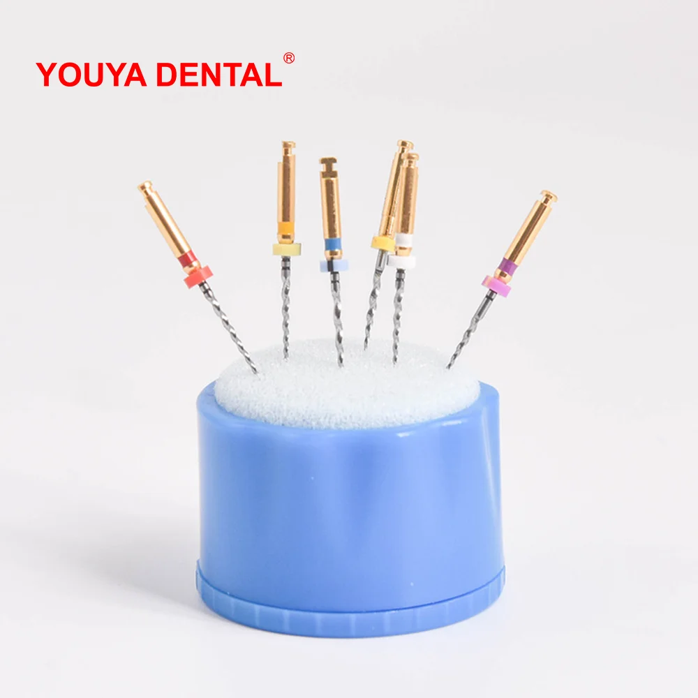 L/S Dental Endo Stand Endodontic Box Cleaning Foam File Drills Block Holder Autoclavable Dentistry Lab Dentist Product Equipment