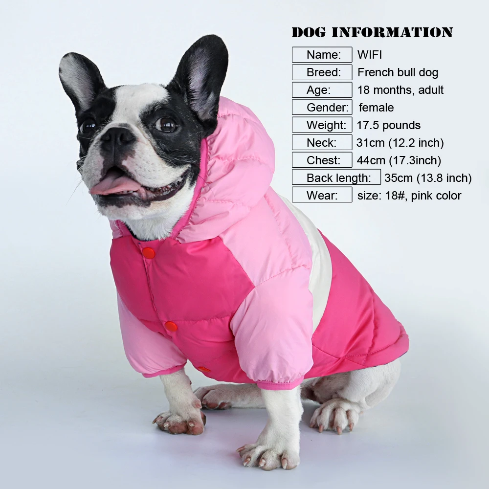 Winter Pet Dog Clothes Warm Dog Coat Jacket Waterproof Puppy Hoodies For French Bulldog Chihuahua Small Medium Dogs Yorkie