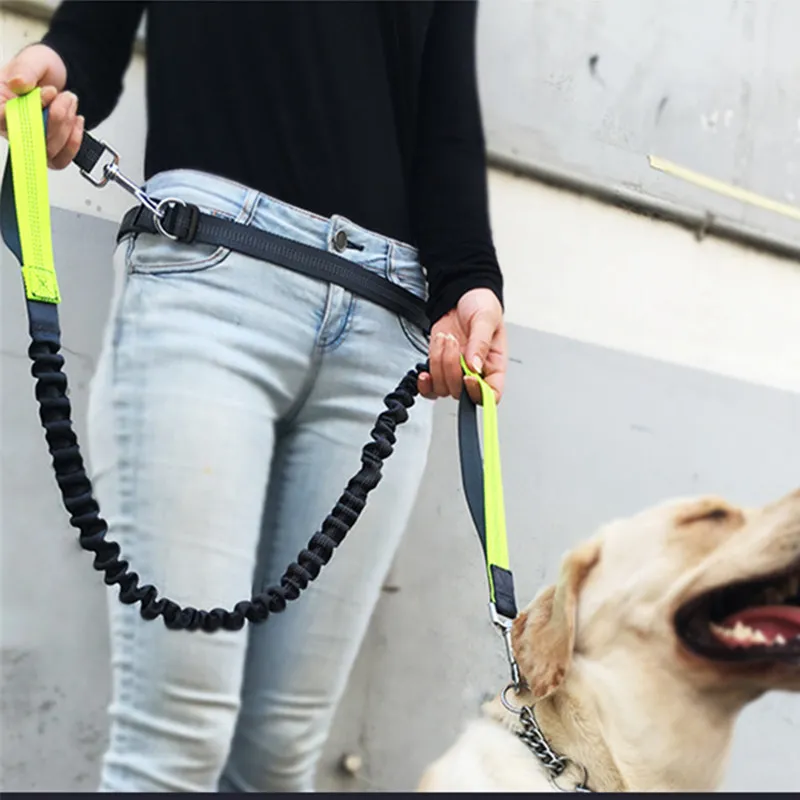 

Dog Harness Walking Dogs Hands Free Leashes Stretch Dog Harness and Leash Set Dogs Walker Running Chain Pet Supplies Accessories