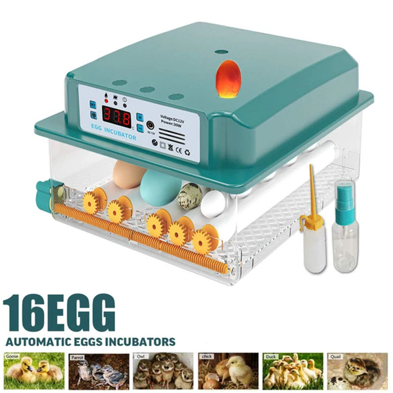 16 Eggs Fully Automatic Incubator 110V/220V Digital Chick Brooder Hatcher Machine Household Farm with Intelligent Turn Egg