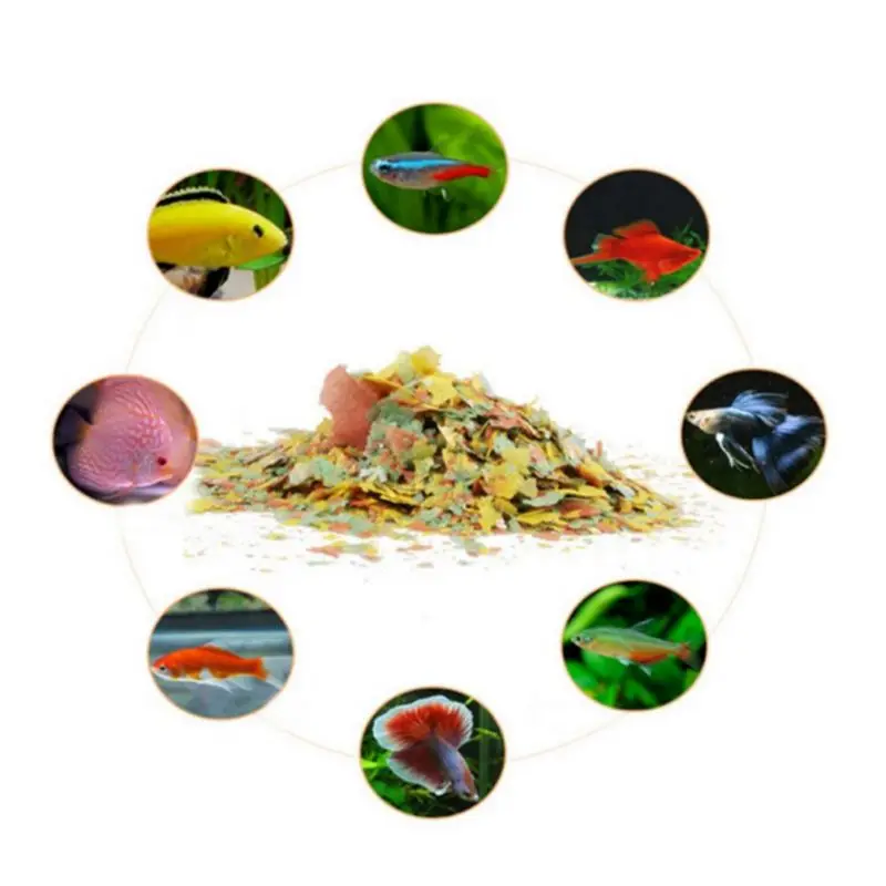 Ornamental Fish Food Guppies and Small Medium Tropical Fishes Flake Feed C63B