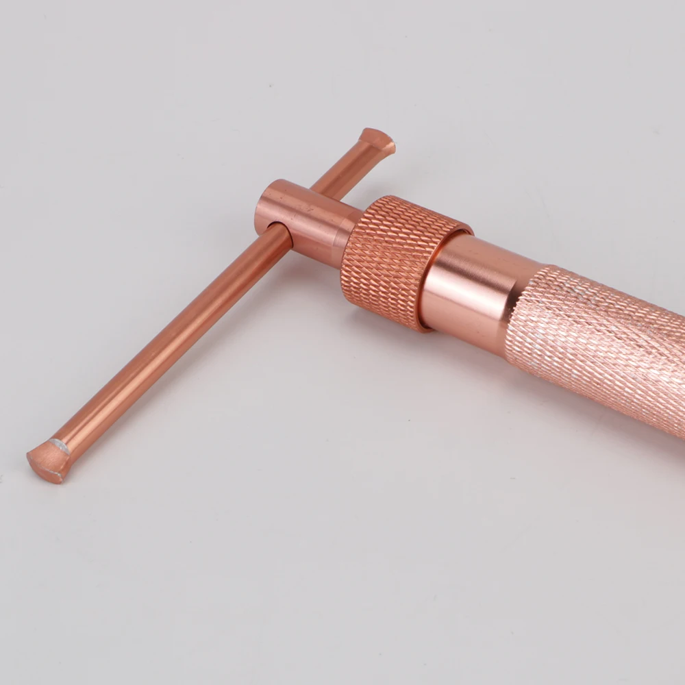 Clay Cake Sculpture Tool Sugar Paste Extruder Fondant Cake Sculpture Polymer Tool Perfect Rose Gold With 20 Tips Clay Craft