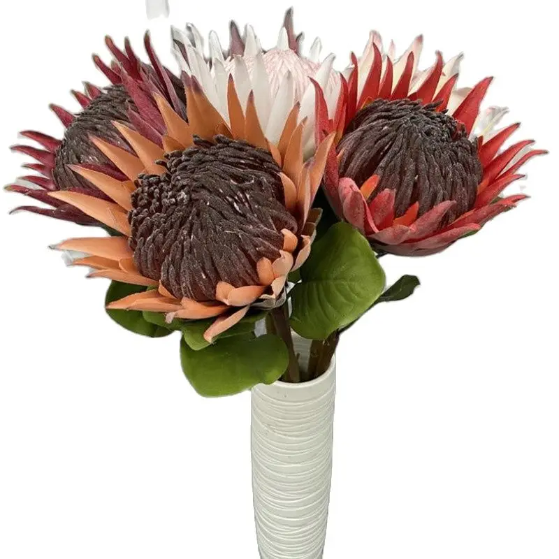 4pcs Silk Protea Cynaroides Plant Artificial Large Protea Flower Branch