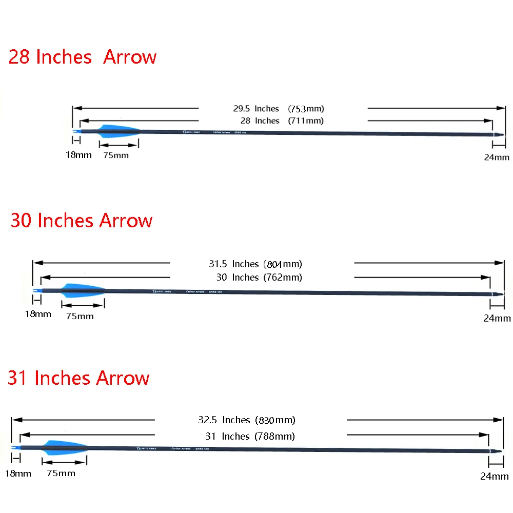 28/30/31 Inch Archery Carbon Arrows Hunting Spine 500 with Replace Arrowheads for Compound Recurve Bow 30-60lbs