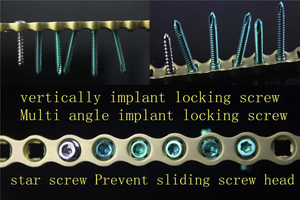 animal orthopaedic instrument medical 6.5 universal Multiaxial compression locking Titanium plate polyaxis 2.4 screw Veterinary