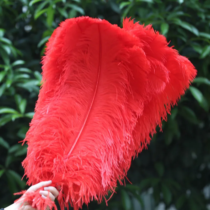 10 Stück rote Straußenfedern für Kleidung, 15–70 cm, für Hüte, große Straußenfedern, Dekoration für Hochzeiten, Tischdekoration – Detail 8