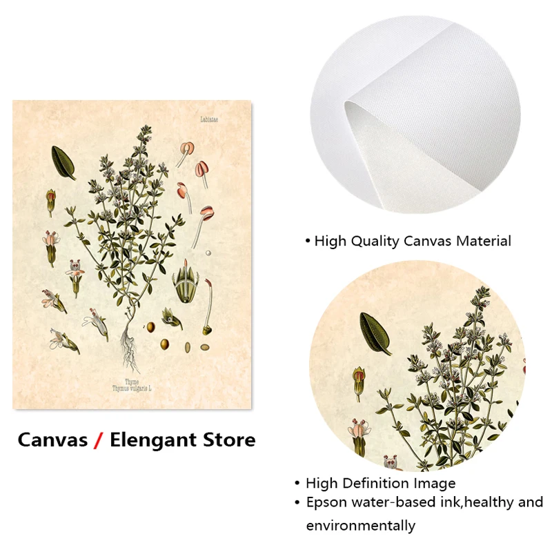 التوابل الأعشاب طباعة Vintage ملصق النباتية البقدونس حكيم روزماري الزعتر الطهي جدار صورة فنية قماش اللوحة ديكور مطبخ #2
