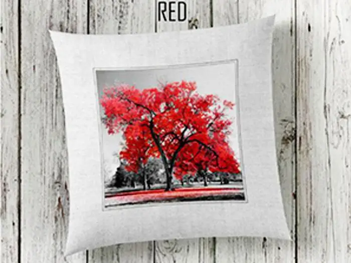 Red 3d Pillow decorate