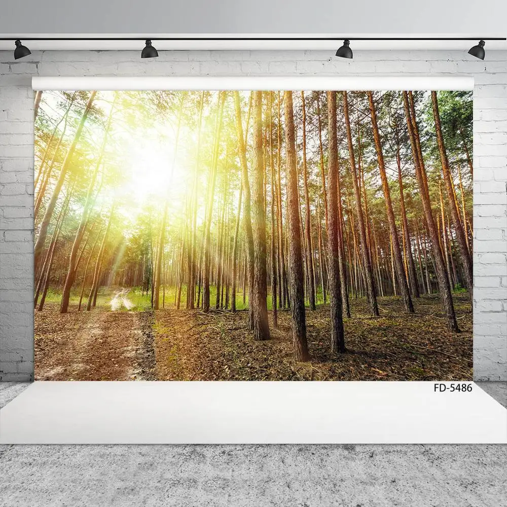 Sunshine Grove Fallen Leaves Photography Background Custom Backdrop for Children Baby Portrait Scenic Photoshoot Photo Studio