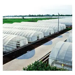 8m*10m Greenhouse kit for vegetables with ventilation on both sides