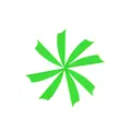 2. green 100pcs