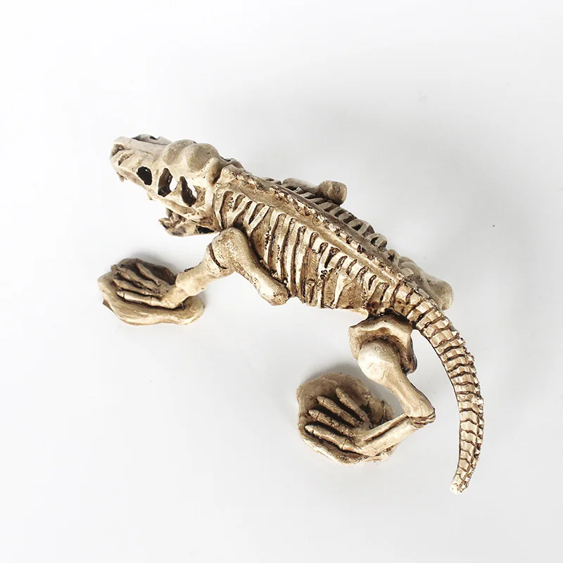 Dinosaur Bones Dodge House Resin Reptile Habitat Water Grass Landscaping Simulation Skull Fish Tank Aquarium Decoration