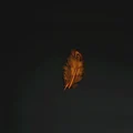 naranja