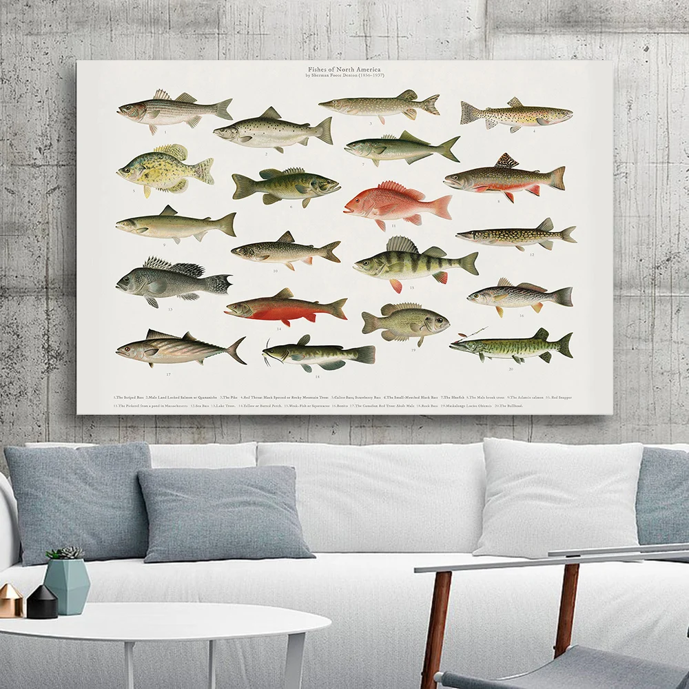 

Fish Vintage Poster French Version Poisson Office Wall Art Picture Canvas Painting Prints France Home Wall Decoration