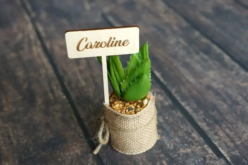 

Custom Wood Laser cut guest names succulent WEDDING Favors Baby Bridal Shower favor, plants Personalized signs plate name place