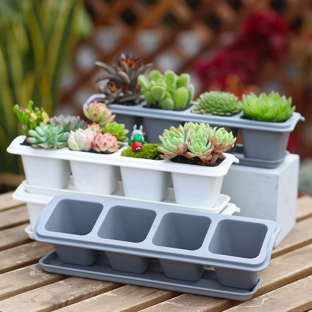 Simple Modern Succulent Flower Pot Desk Decoration Home Gardening Balcony Plastic Pure Color Flower Pot with Tray Nursery Pots