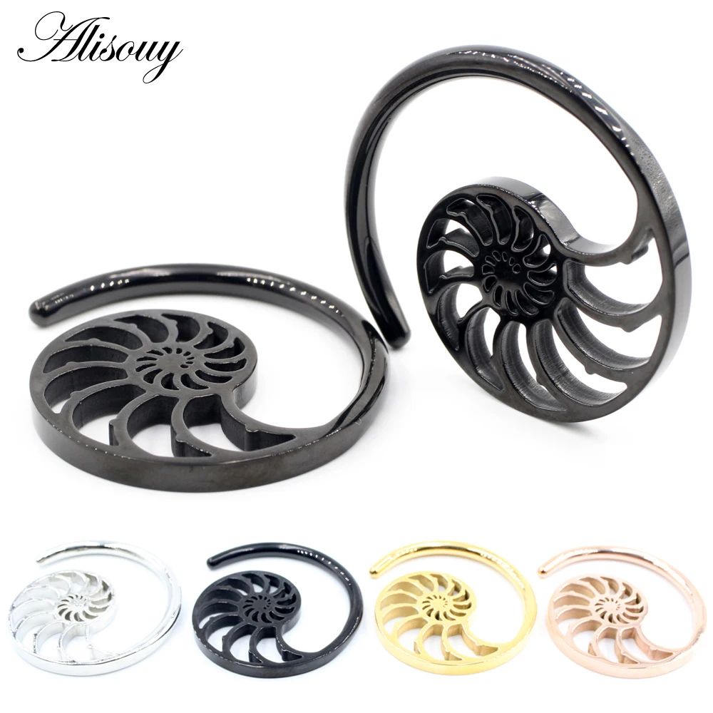 Alisouy 1PC Stainless Steel Hollow Spiral Snail Helix Ear Weights Expander Stretcher Plugs Gauge Earring Body Piercing Jewelry