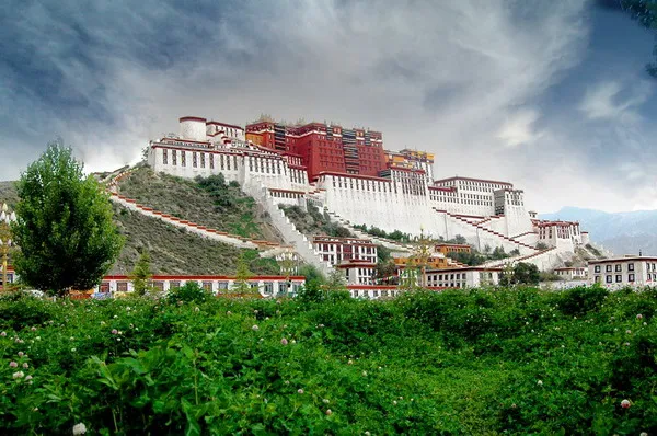 Mysterious The Potala Palace photo background vinyl fairy photography backdrops for photo Studio accessories photophone CM-1657