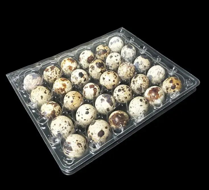 

500pcs/lot 30 Holes Quail Egg Containers Plastic Quail Egg Boxes Wholesale SN2135