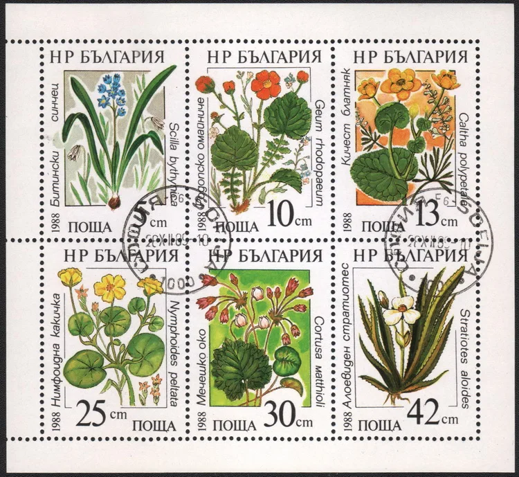 6Pcs/Set Bulgaria Post Stamps 1988 Aquatic Flowers  Marked Postage Stamps for Collecting