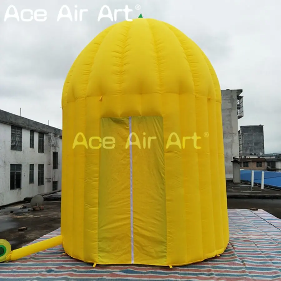 customize 3m tall advertising gaint fresh citrus fruit model inflatable lemon for summer drinking promotion