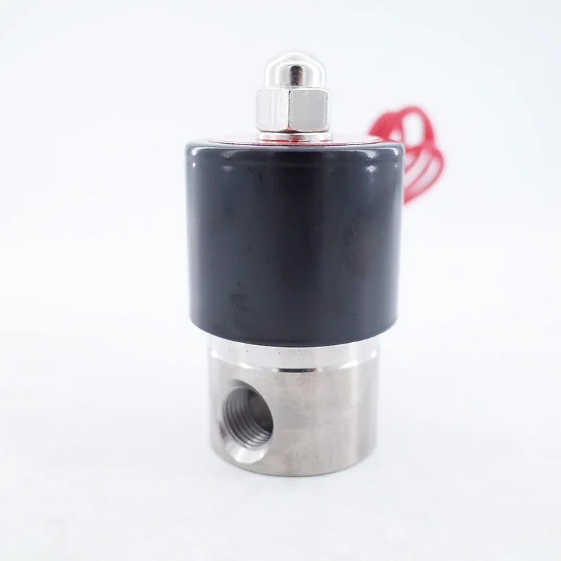 2 Way Stainless steel mini water solenoid valve 1/4 3/8 12V 24V 110V 220V 380V 36V N.C 2S025-08 2S040-10 Wire lead valve