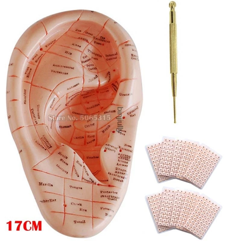 3 in 1 Auricular Ear Acu puncture Needle Pen 600pcs Vaccaria Seeds Press Seeds Stickers Ear Model