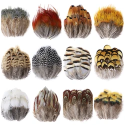 Plumas de gallo de faisán Natural para manualidades, accesorios de costura de ropa, decoración, 5-8Cm, venta al por mayor, 50 unidades