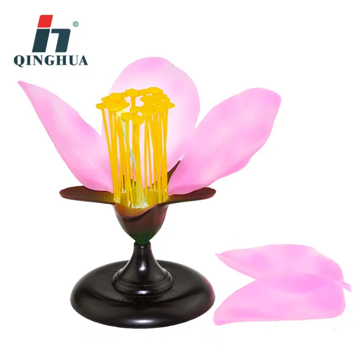 Detachable Giant Dicot Flower Peach Blossom Flower Anatomy Model Plant Anatomical Model Biology Teaching Experiment Equipment