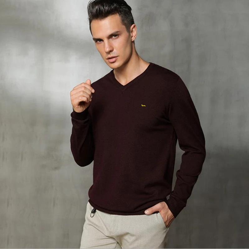 Suéter masculino de cashmere tricotado, pulôveres com decote em v, suéteres casuais Blaine, manga comprida, bordado sólido, novo, outono e inverno