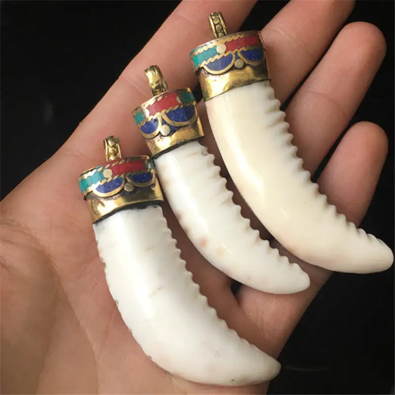 TBP556 Nepal old Conch shell Big Pendants Tibetan Fang Amulet for Man clamshell