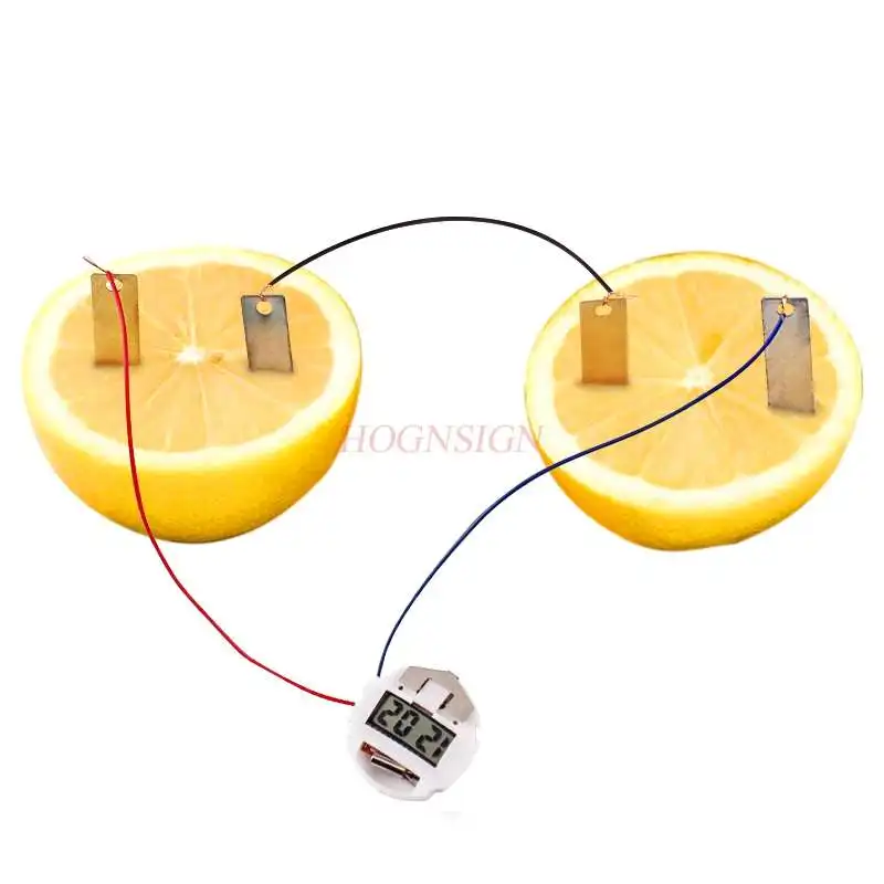 Scientific Experiment Equipment Fruit Conductive Experiment Fruit Battery Technology Small Production School Supplies