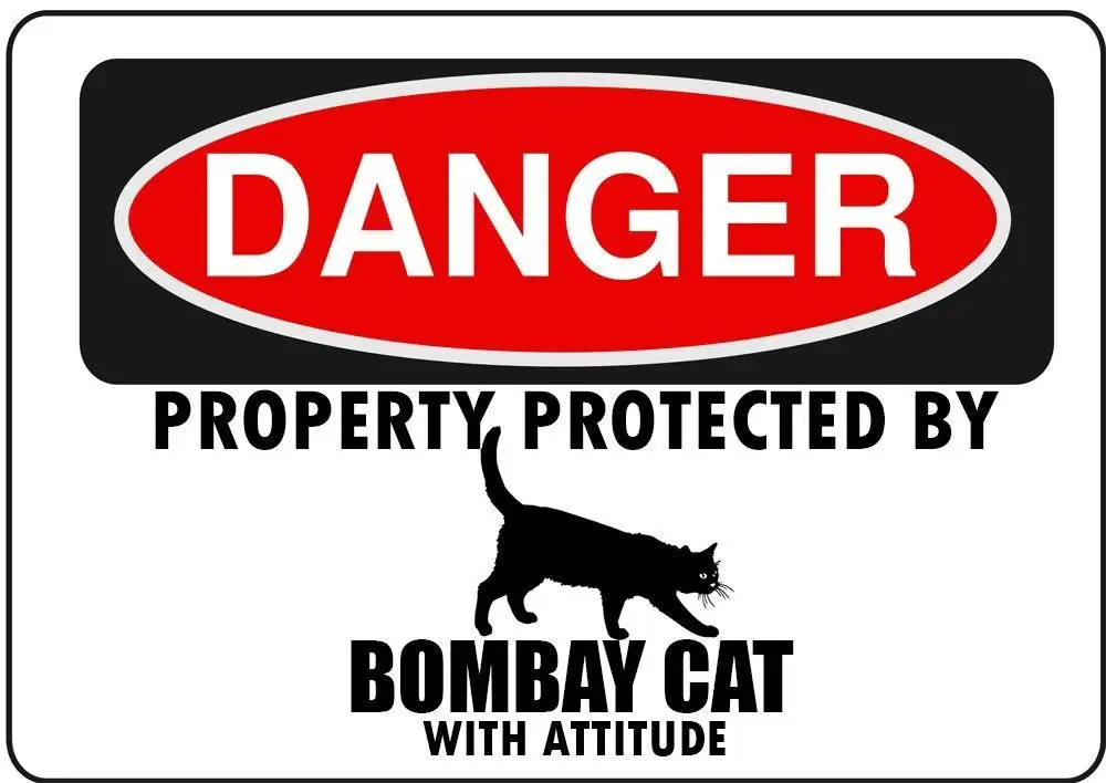 Jesiceny Great  Aluminum Bombay Cat Parking Only Outdoor & Indoor Sign Wall Decoration 12x8 INCH