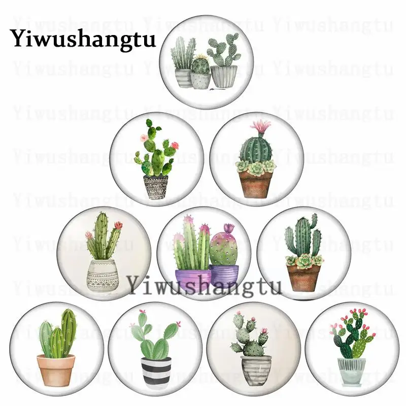 

New Fashion plants Cacti flowers potted Oil Painting 18mm/20mm/25mm Round photo glass cabochon demo flat back Making findings