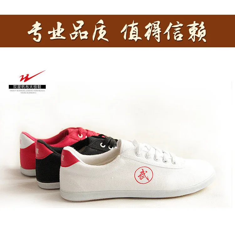 Zapatos de lona Kungfu para hombre y mujer, calzado de artes marciales, suela blanda, Tai Chi, blanco y negro, novedad