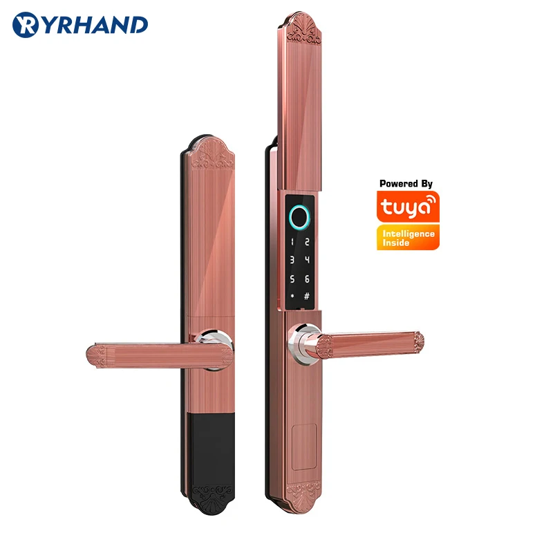 Tuya fechadura eletronica cerradura inteligente F3 Aluminum Sliding smart door lock