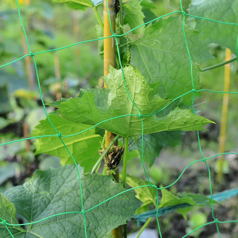 Home Gardening Plants Support Trellis Netting Plant Support Net Durable For Climbing Plants Garden Accessories