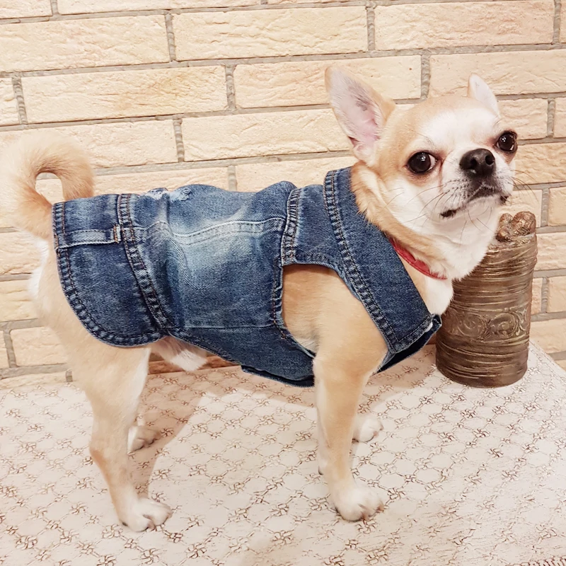 Denim Dog Clothes for Small Dog Winter Pet Dog Coat Jacket Puppy Outfit Vest Pug Chihuahua Clothes French Bulldog Outfits XS-XXL