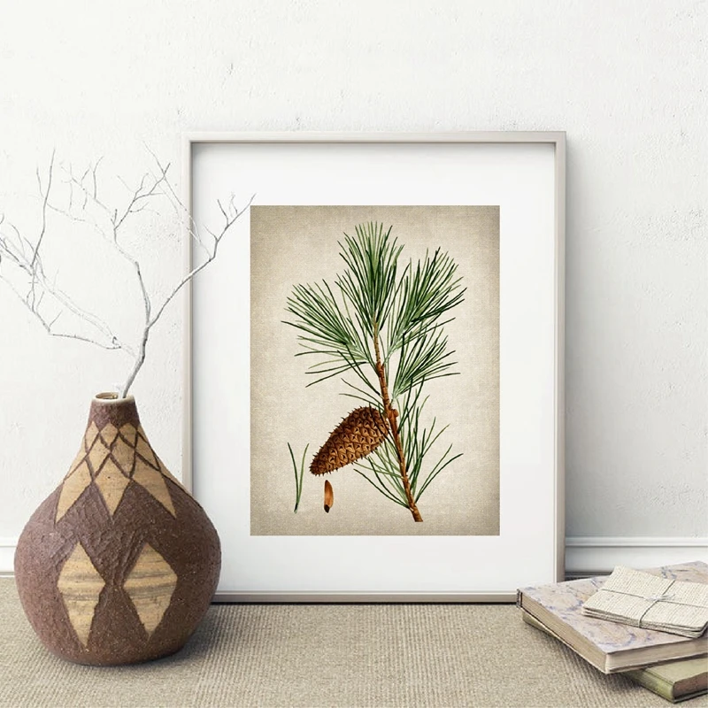 Pine Plant Vintage Illustrations Posters and Prints Evergreen Pine Cones Botanical Plants Wall Art Canvas Painting Home Decor