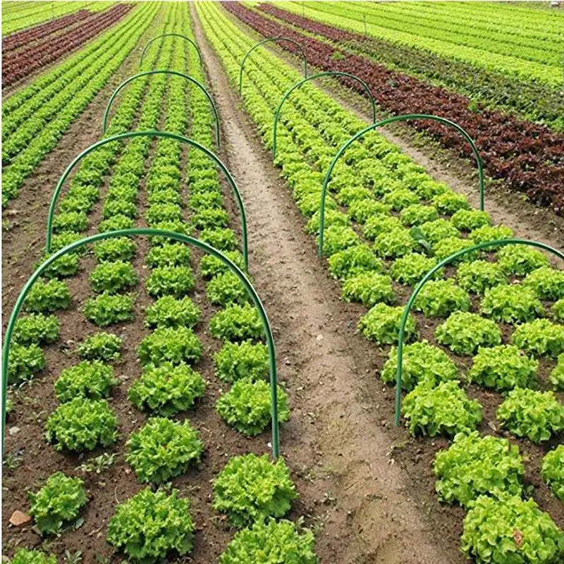 6 Pcs Greenhouse Hoops Plant Hoop Grow Garden Tunnel Hoop Support Hoops Plant Holder Tools for Stakes Agriculture Farm