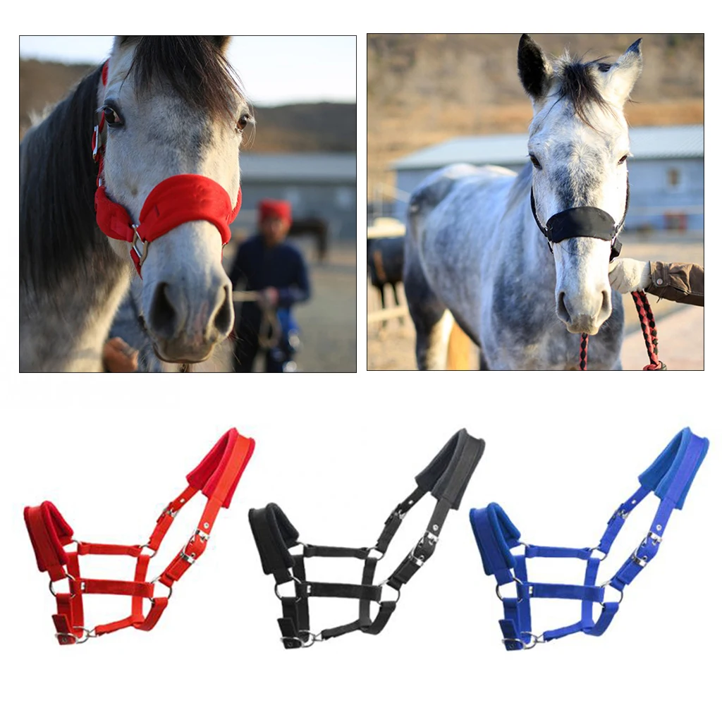 Thicken Fleece Padded Pony Horse Halter Bridle Strap Equestrian Adjustable Head Collar Horse Riding Protective